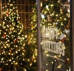 キャットストリート クリスマス