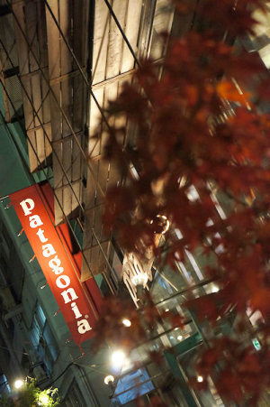 キャットストリート 紅葉