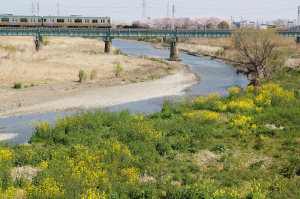 春の鉄橋