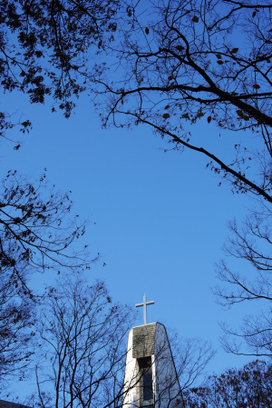 表参道のクリスマス