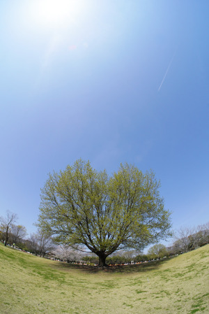 安比奈親水公園