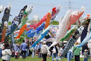 義高の鯉のぼり