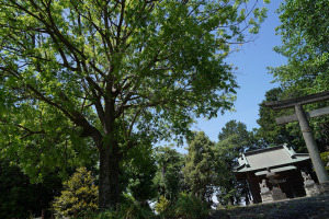 神社