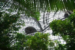 夢の島熱帯植物館